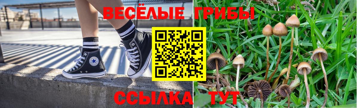 Псилоцибиновые грибы Cubensis Великие Луки